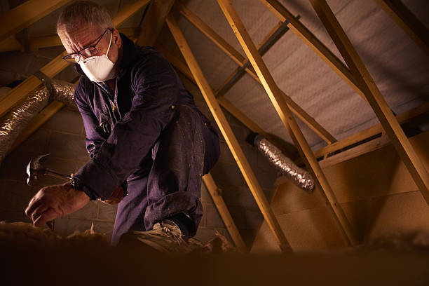 Best Cellulose Insulation  in Barclay, NJ
